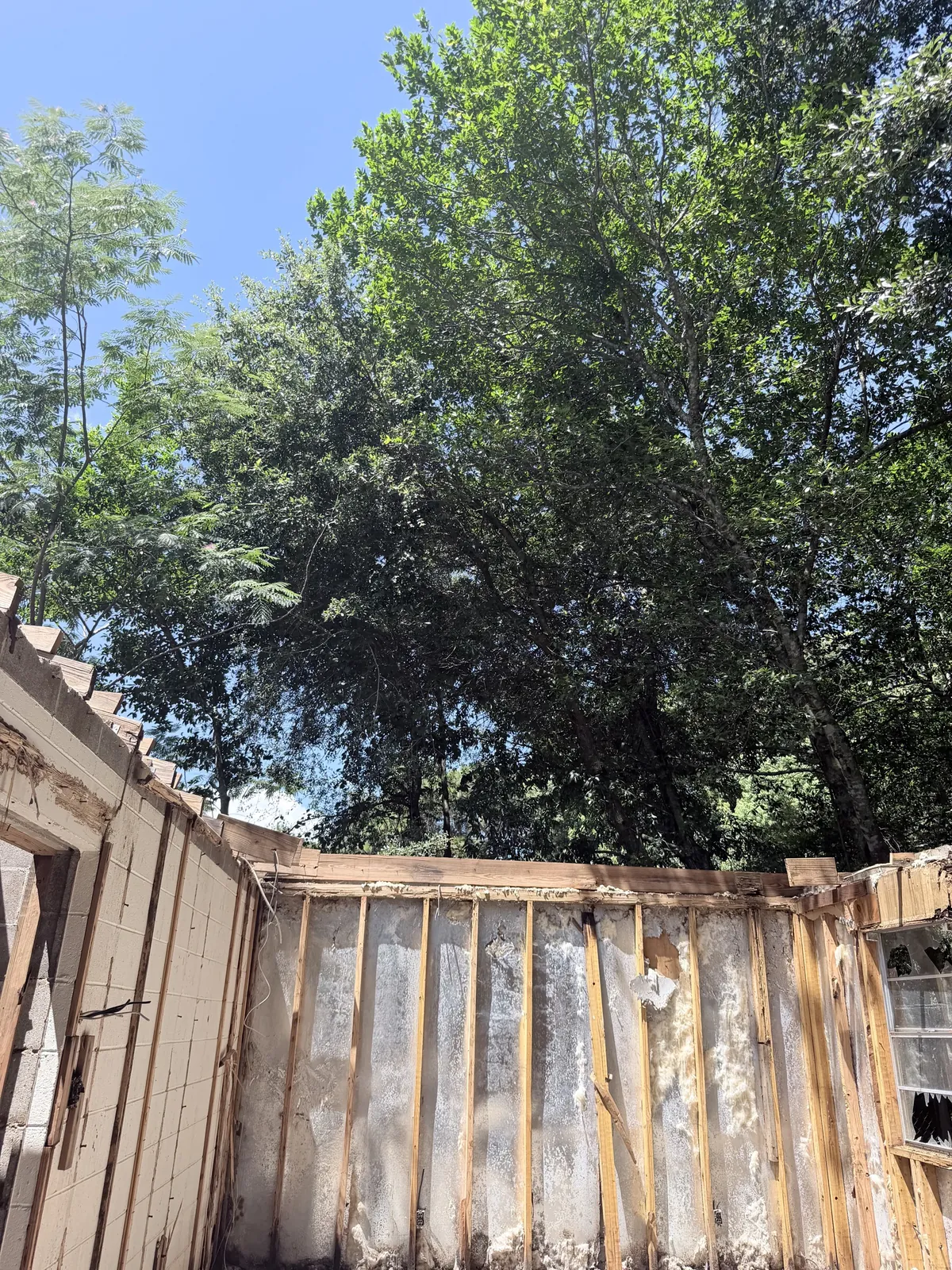Interior tear-out with wall materials removed