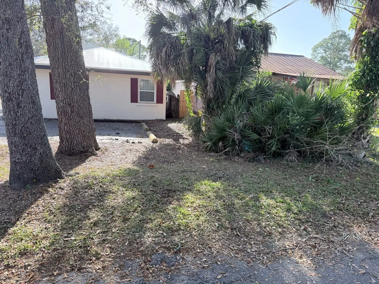 Finished yard cleanup with debris removed